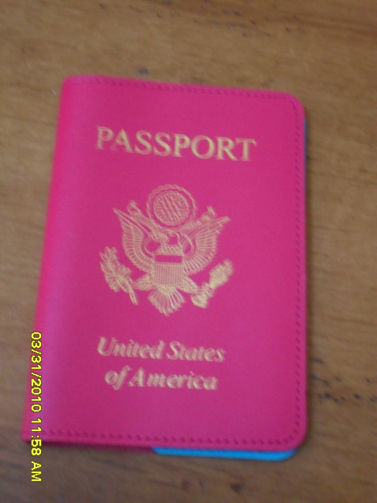 Adventures of the Pink Passport