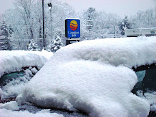 Winter wonderland
