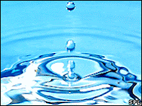 Water Water