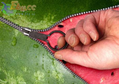 Innovative use of zippers Innovative use of zippers