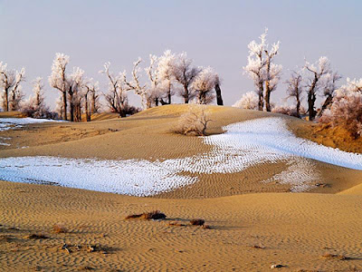 snow in a desert snow in a desert