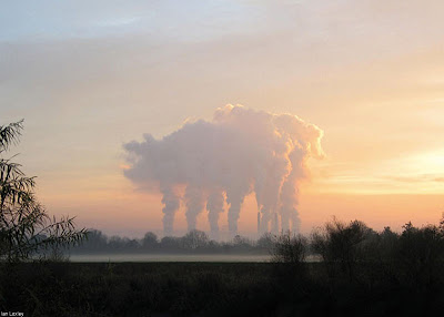 A pig with six legs, 'walking' over the Trent at Gainsborough in Lincolnshire