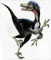 The velociraptor The velociraptor