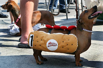 Running of the Wieners Running of the Wieners