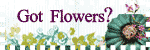 Prima Flowers
