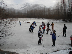 Pond Skating