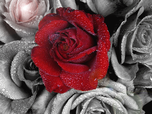 You Are Blessed Always You Are Blessed Always