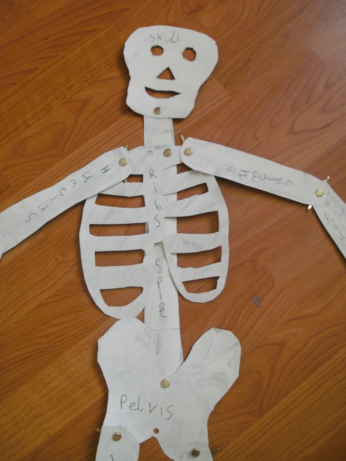 home school home: Mr Skeleton