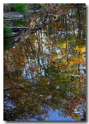 Patowmack Canal - Great Falls National Park