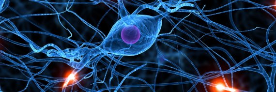 ¿Somos Capaces de Crear Nuestra Realidad? remodelacion neuronal cambio de habitos cambiar vida