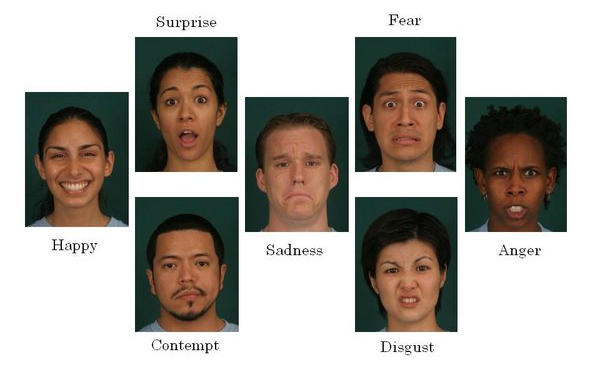 Las 7 emociones según la Medicina China siete emociones basicas