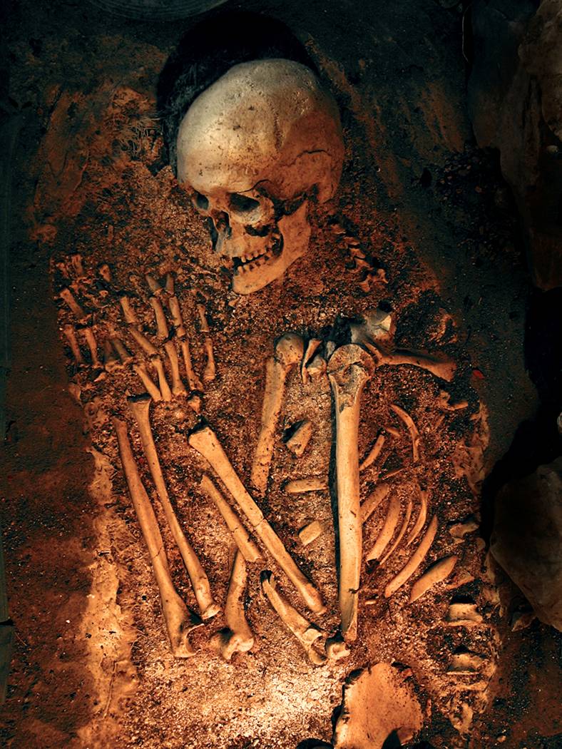 [bones.jpg]