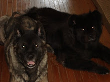 <b>Kobe & Kaly</b>