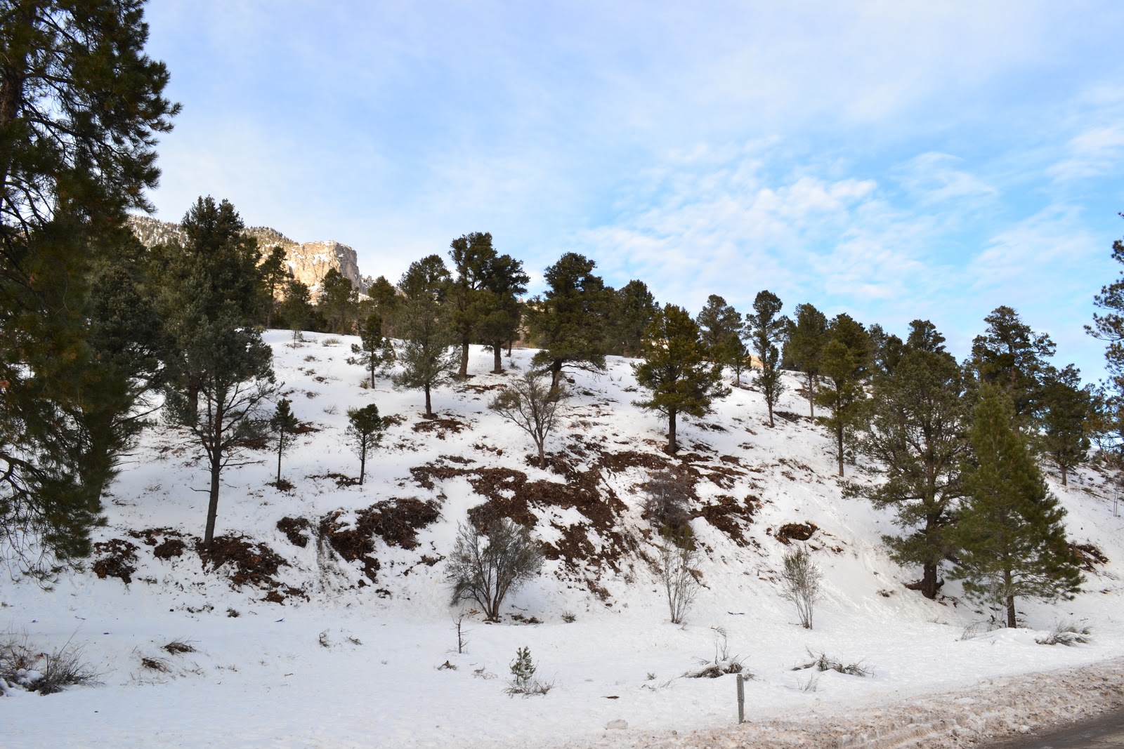 mount charleston snow