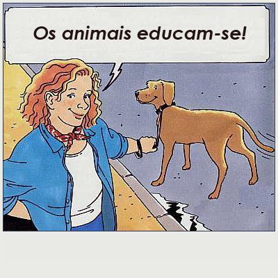 [cão1.JPG]