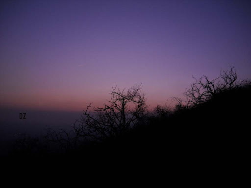 Twilight Horizon