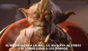 Porros Porros