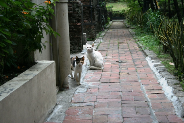 [IMG_1379-711397.jpg]