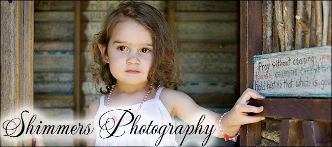 The Shimmering Blog