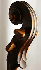 Scroll of John Toone's Cello
