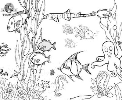 Habitat Coloring Pages