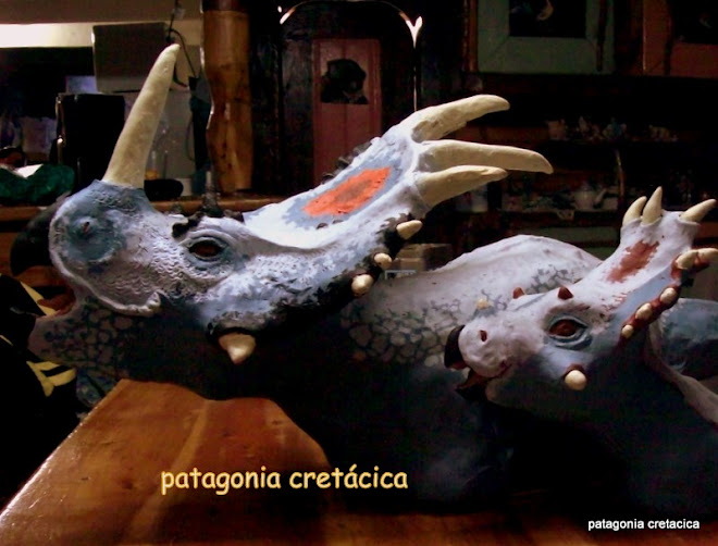 styracosaurioy cria