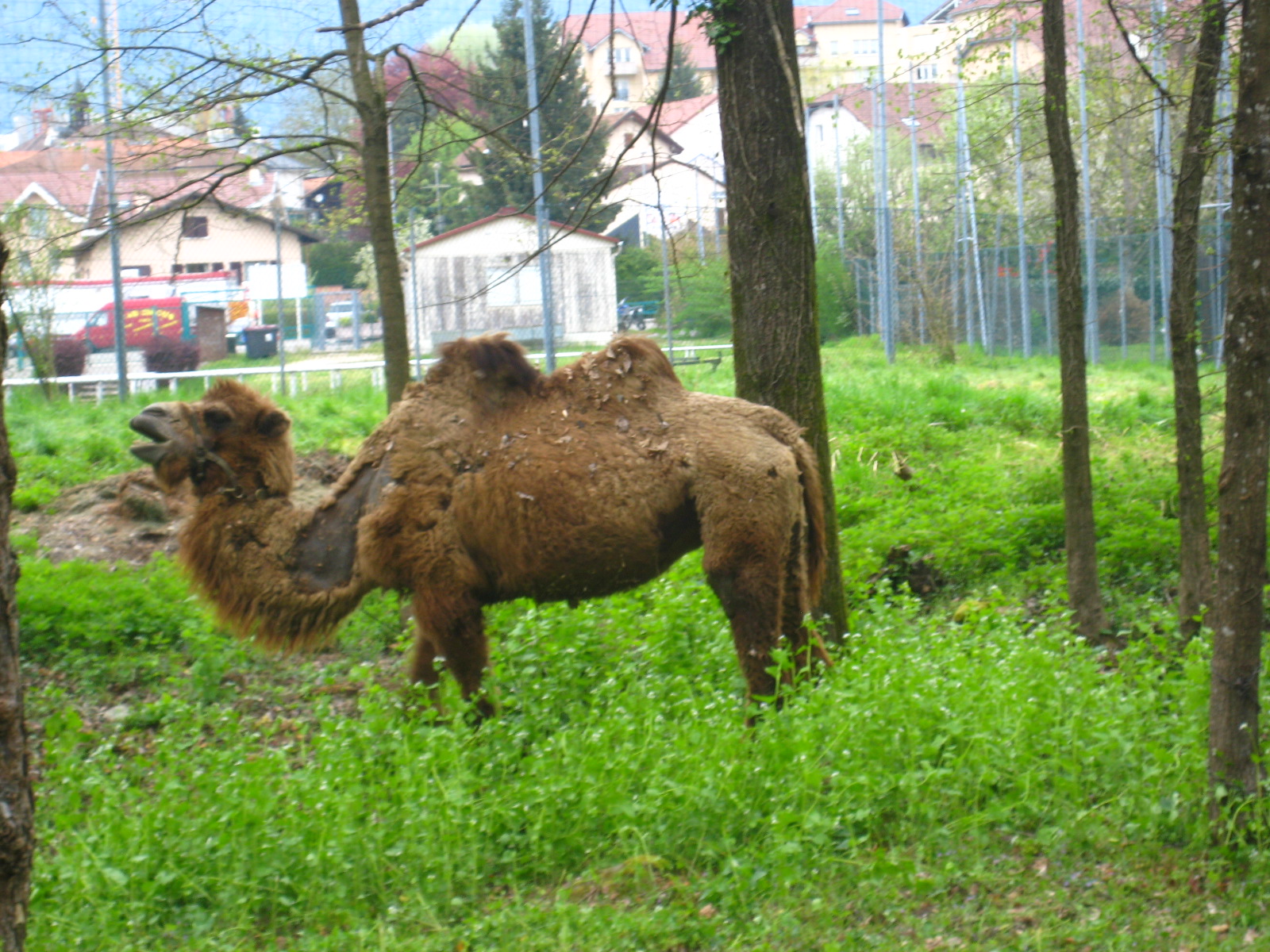 [IMG_1972.JPG]