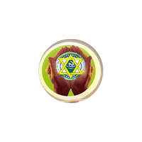 Associação de Capoeira Chapéu de Couro®