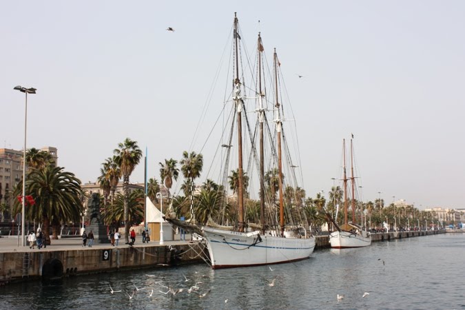 [IMG_0738.JPG]