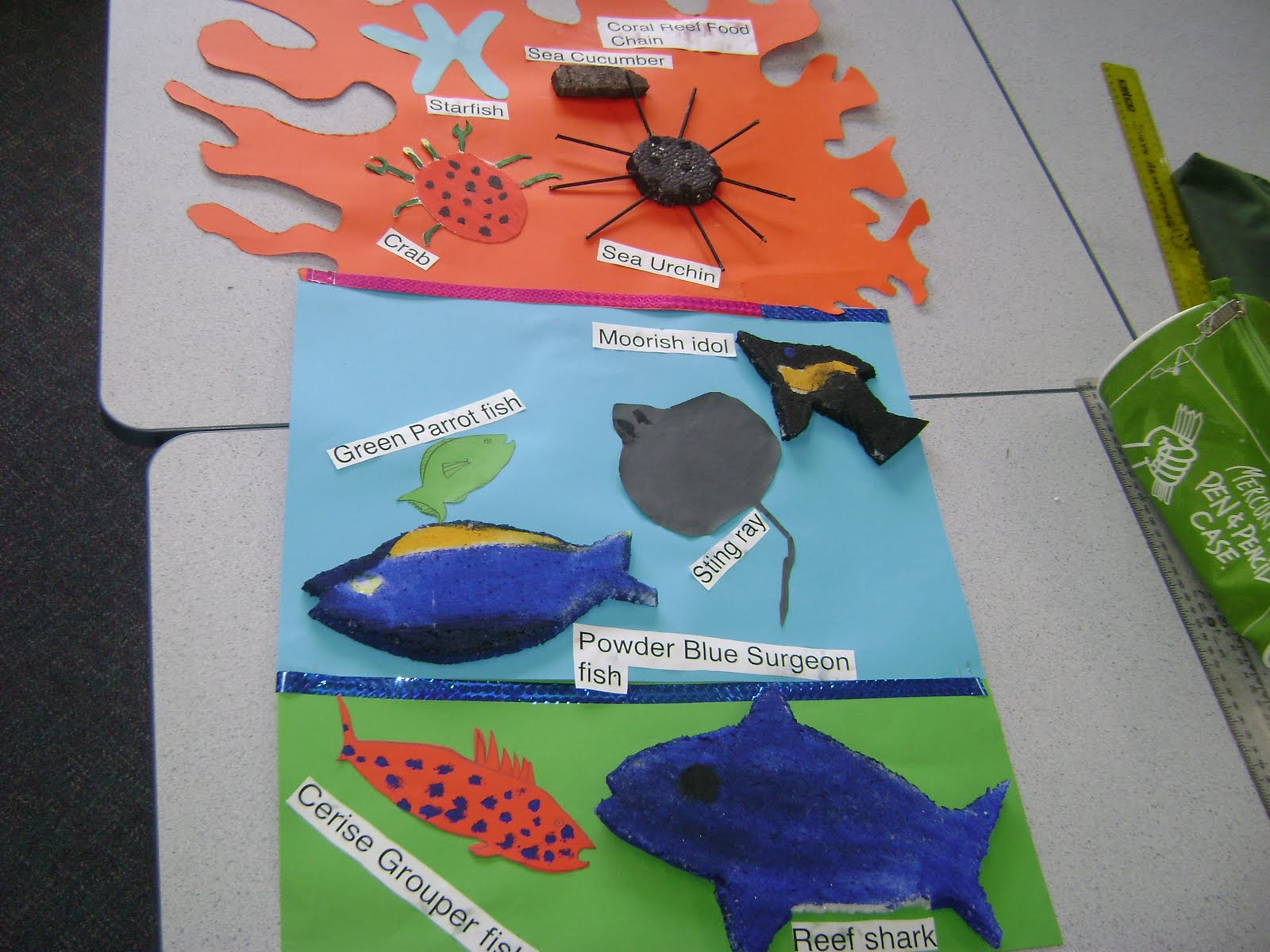 ROOM 4S BLOG Coral Reef Food Chain Biology Diagrams