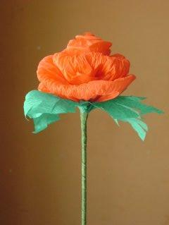 [rosa.JPG]