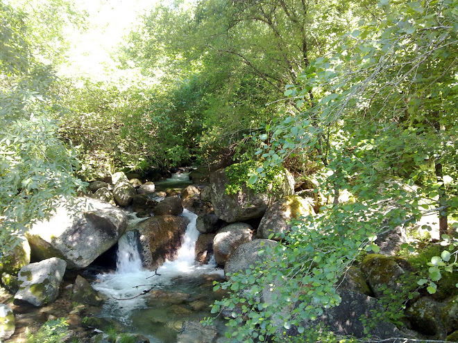 Ribeiro de freitas junto ao Sudro