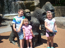 Henry Doorley Zoo