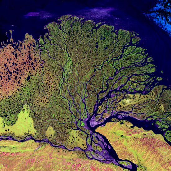 [550px-Lena_River_Delta_-_Landsat_2000.jpg]