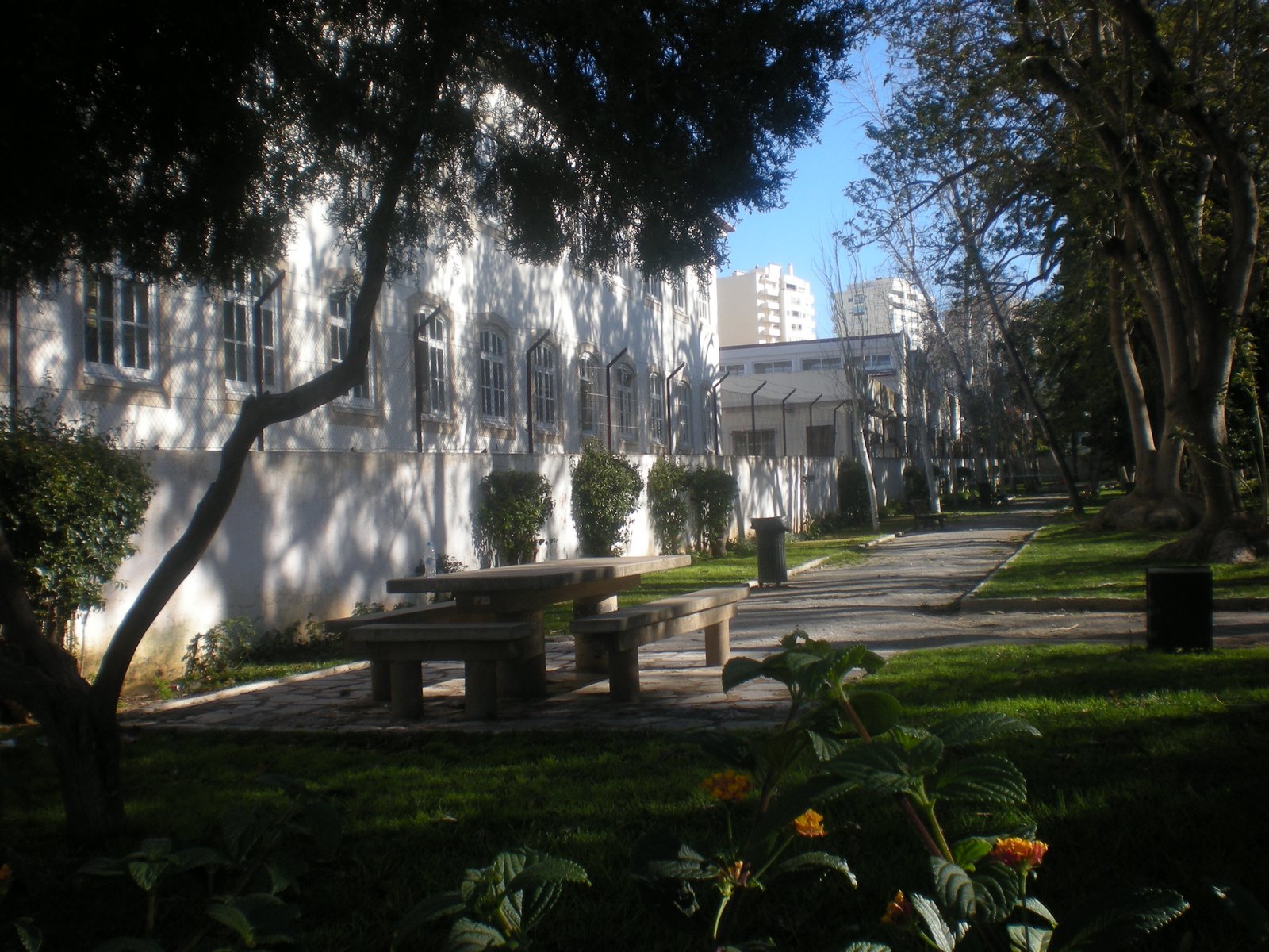 [DSCN0493.JPG]