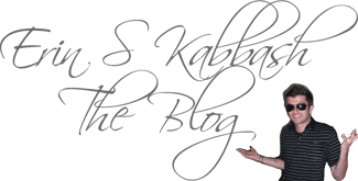 Erin S Kabbash The Blog