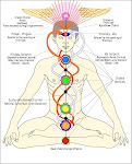 kundalini chakra