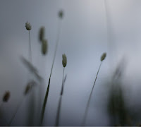 Peter Broderick Float
