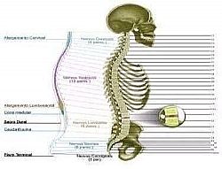 [Mostra_Imagem.asp.jpeg]