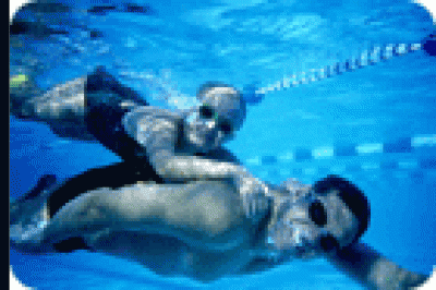 [natacao3_g.gif]