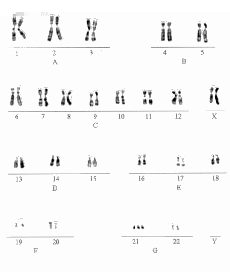 [fig2a.jpg]