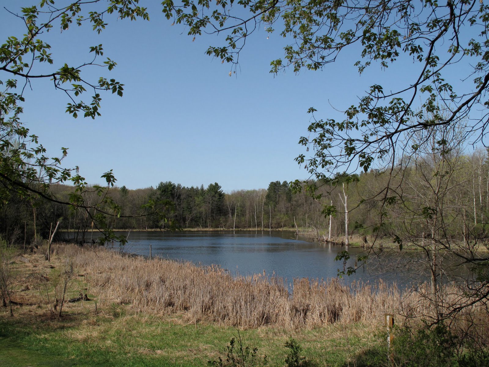 behind the Eagan Art House