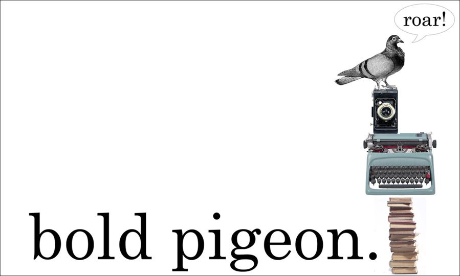 bold pigeon