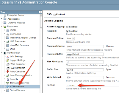 Configuring Common Access Log