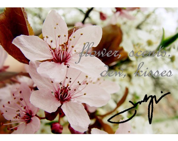 flowers, scents, dew, kisses