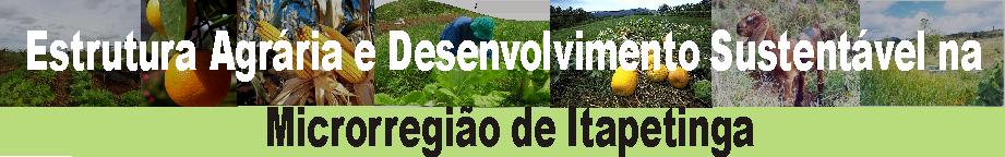 Estrutura Agrária e Desenvolvimento Sustentável na Microrregião de Itapetinga