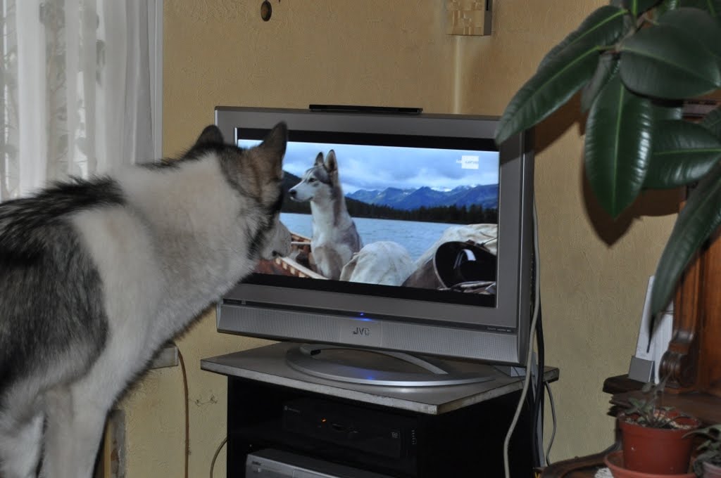 [watching-tv-02.jpg]