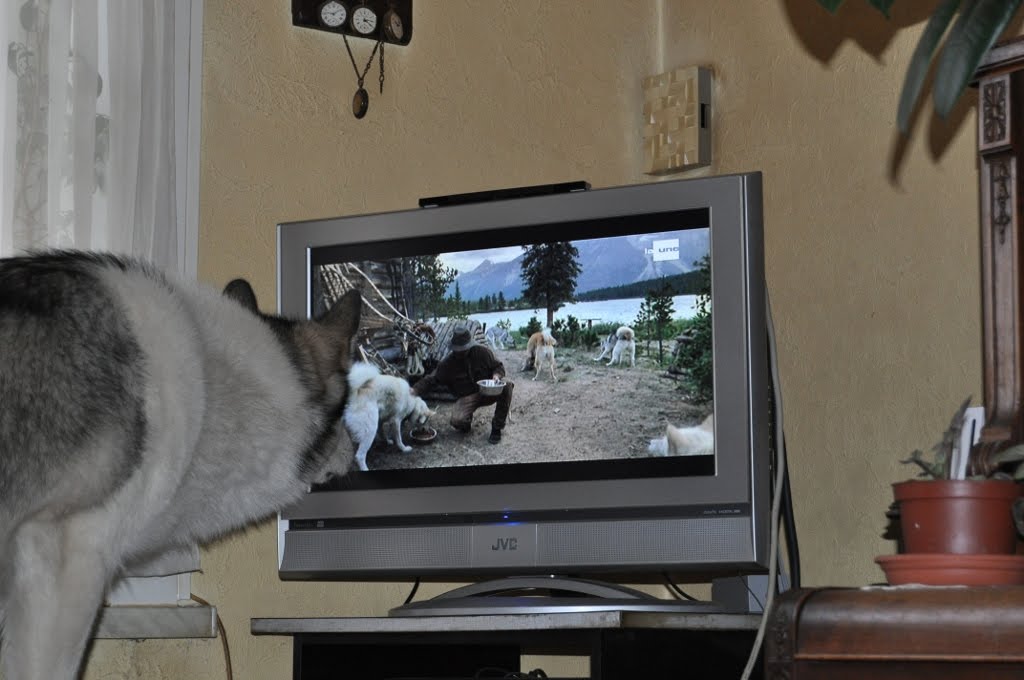 [watching-tv-04.jpg]