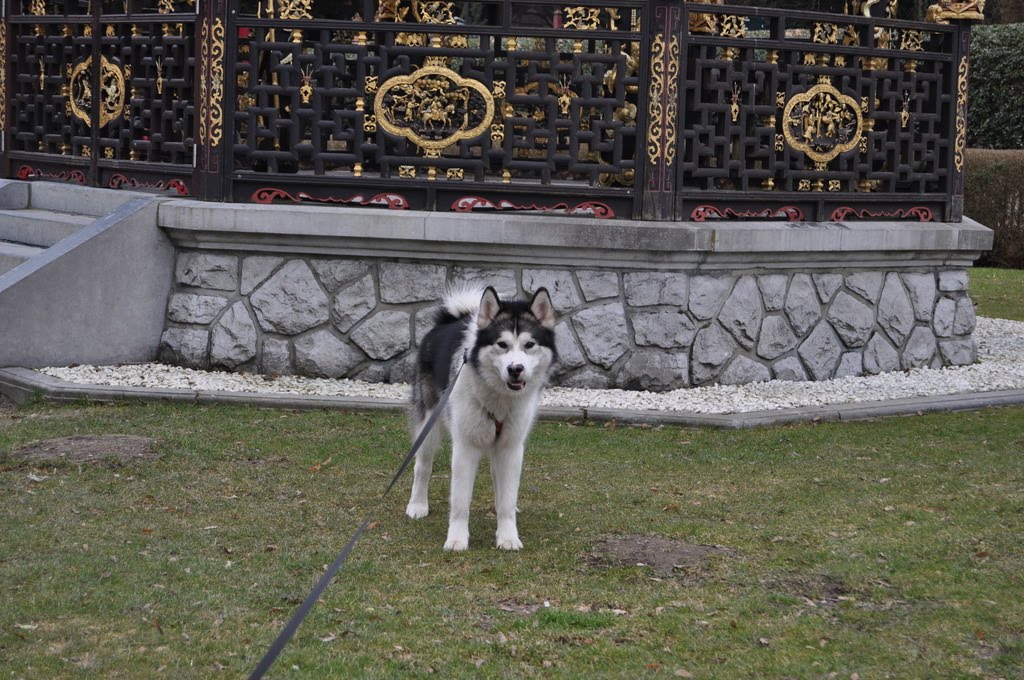 [DSC_0073.JPG]