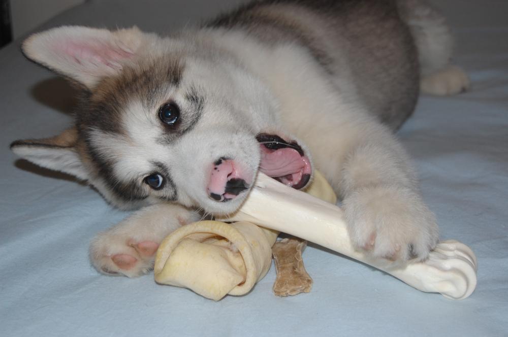 [Weekversaryjpeg.jpeg]